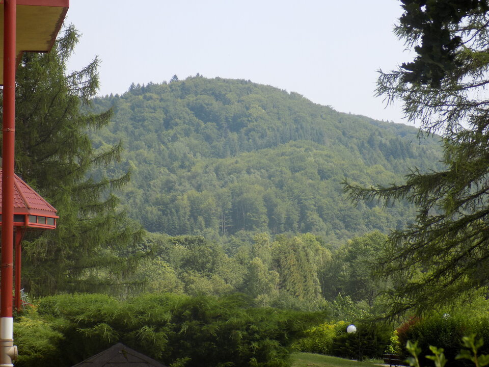 DSCN4475.JPG - adonis401