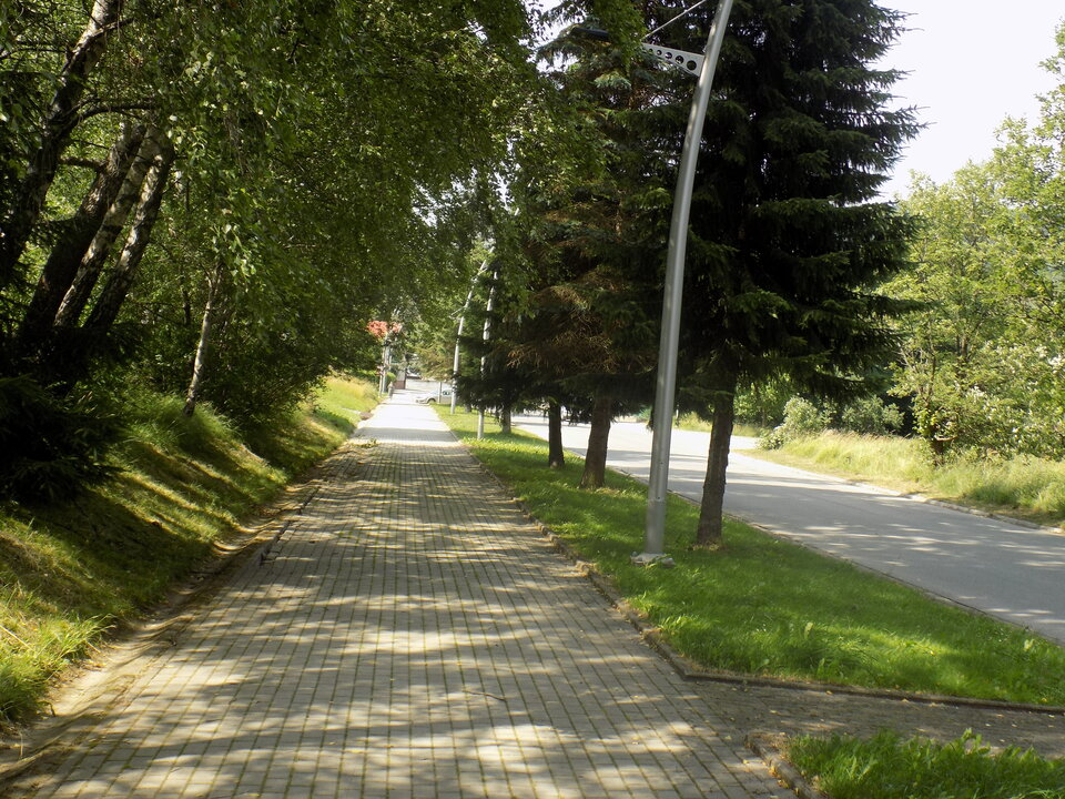 DSCN4393.JPG - adonis401