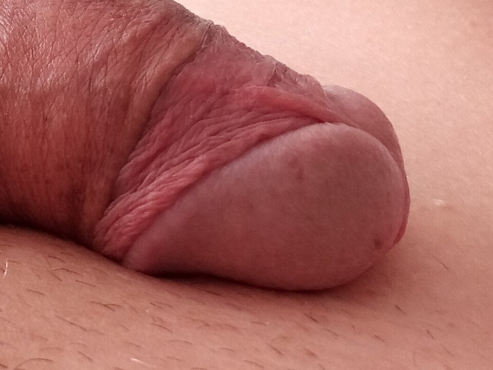 16290107429395520142960746352600.jpg - 19Grzegorz55