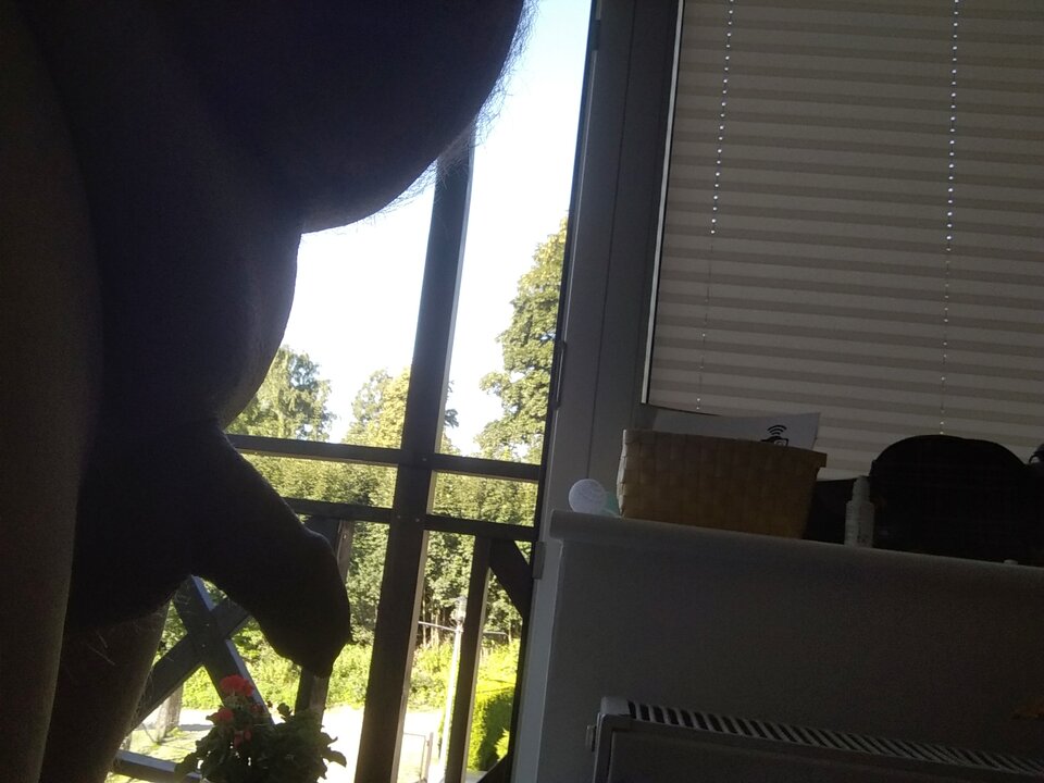 IMG_20210815_084012.jpg - dupekalex