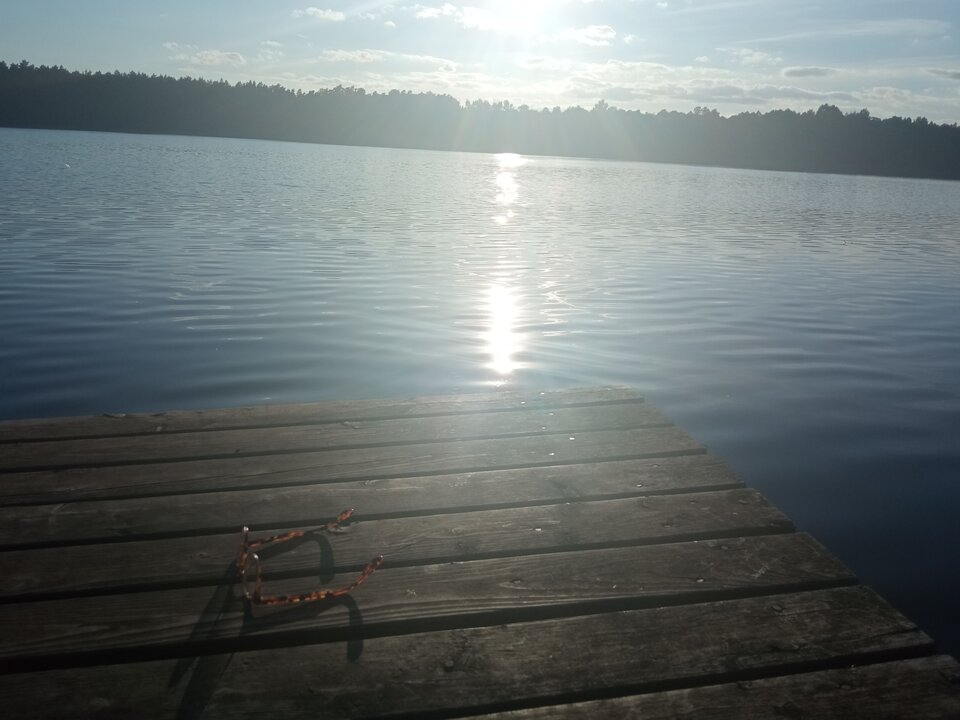 IMG_20210815_182956.jpg - restless_