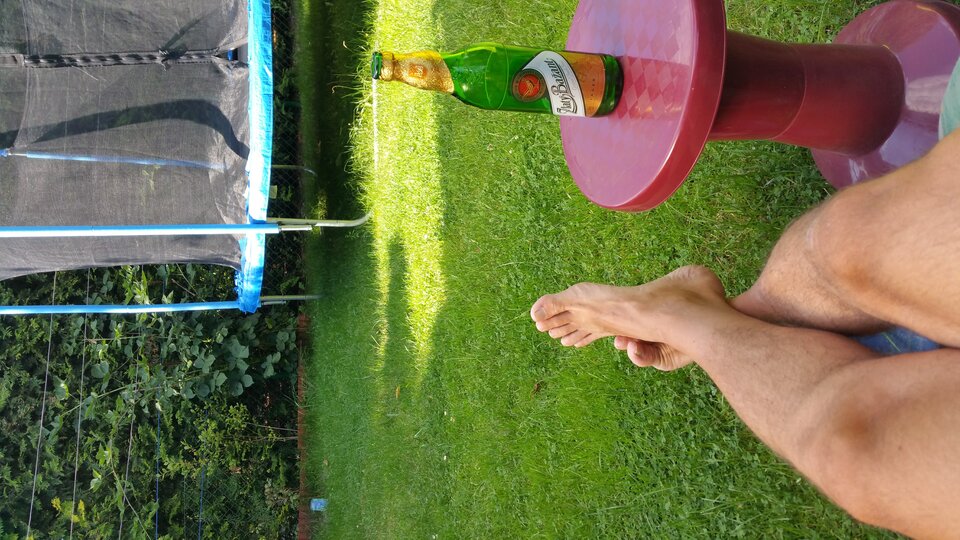 20170805_155555.jpg - MarMarSwing