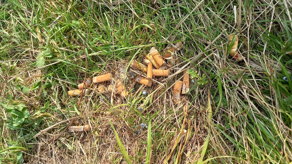 20210816_172025.jpg - amfeti35