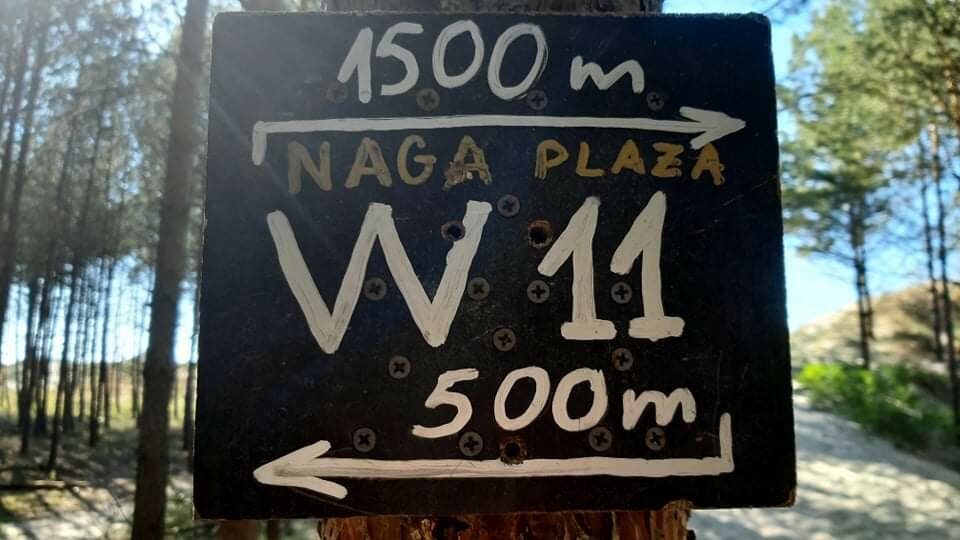 received_4115605985159286.jpeg - Milyadam1982