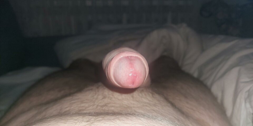 img.jpeg - Grzechu_warty_65