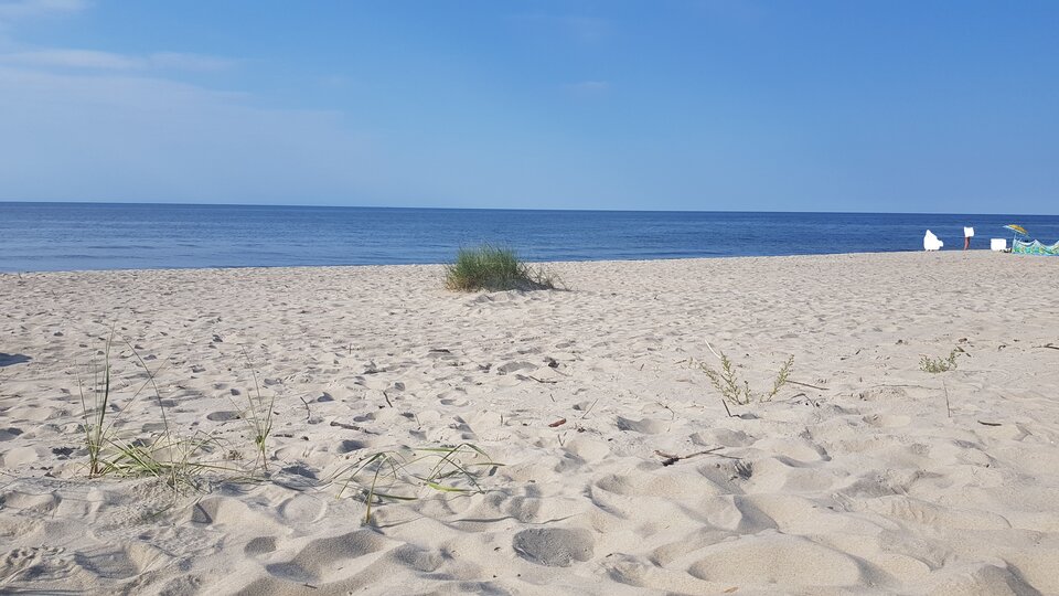 Jak wypoczynek, to tu - murena2