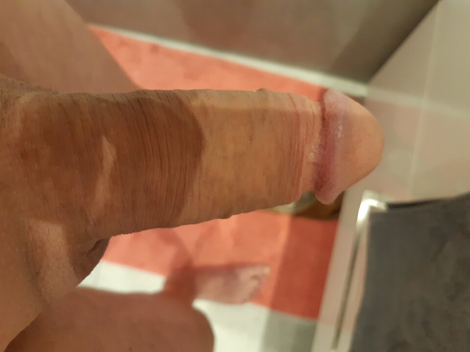 16292621719989195727166814200588.jpg - 250272