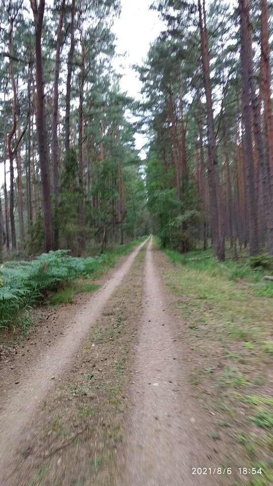 IMG_20210806_185436.jpg - casto