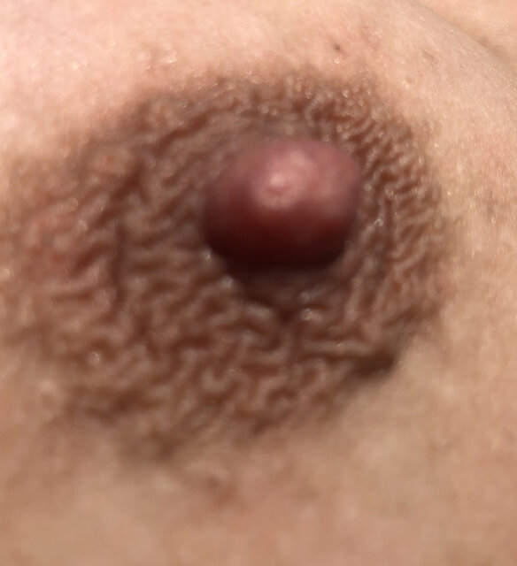 C1366D2C-FA16-432A-8285-E63A848BA3EC.jpeg - JB8085