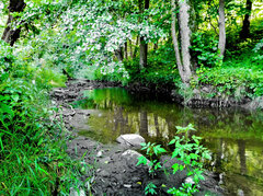 IMG_20210814_165457.jpg