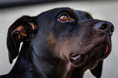 Gdy zamiast łez w oku pojawiają się kolory życia...