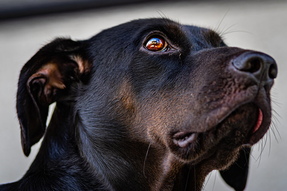 Gdy zamiast łez w oku pojawiają się kolory życia... - mystic