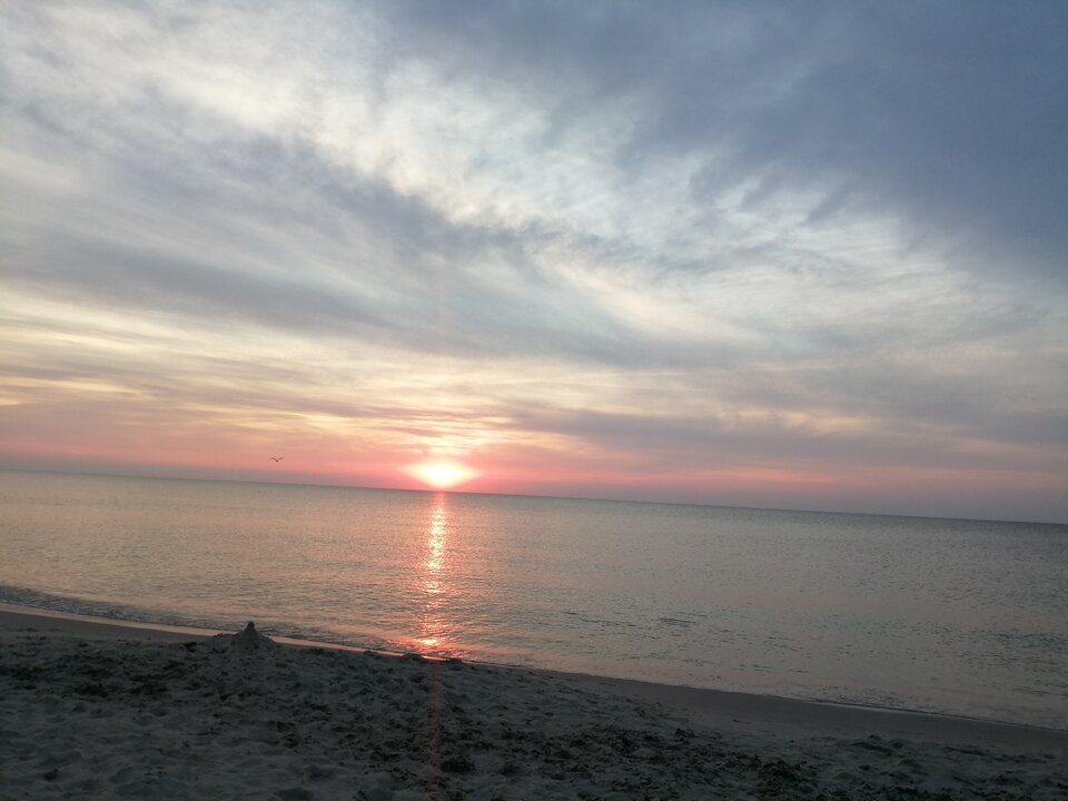 IMG_20210813_200549.jpg - wesola1965