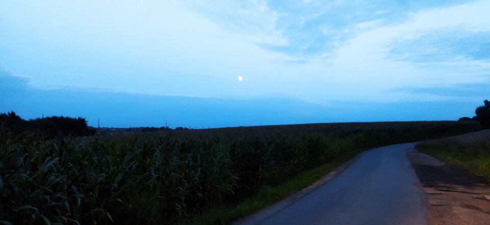 IMG_20210819_201910.jpg - MattVegass