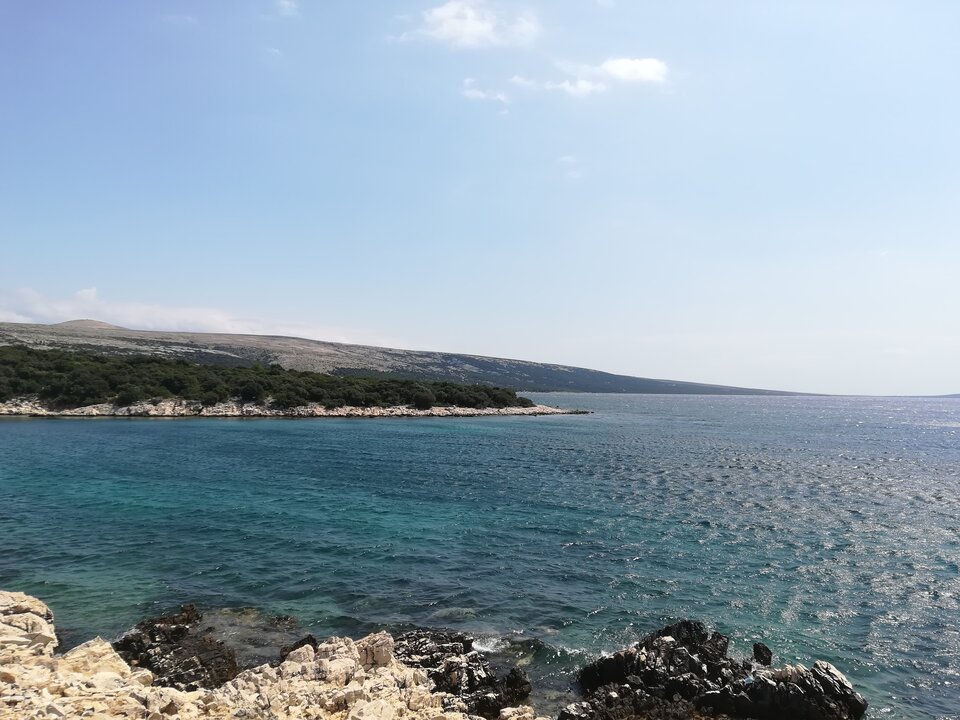 IMG_20210817_121750.jpg - Piterandana