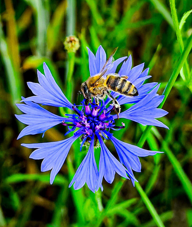 20200620_165917.jpg - Stillstanding_man