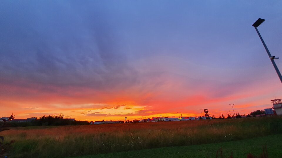 20210802_202131.jpg - thorrtom