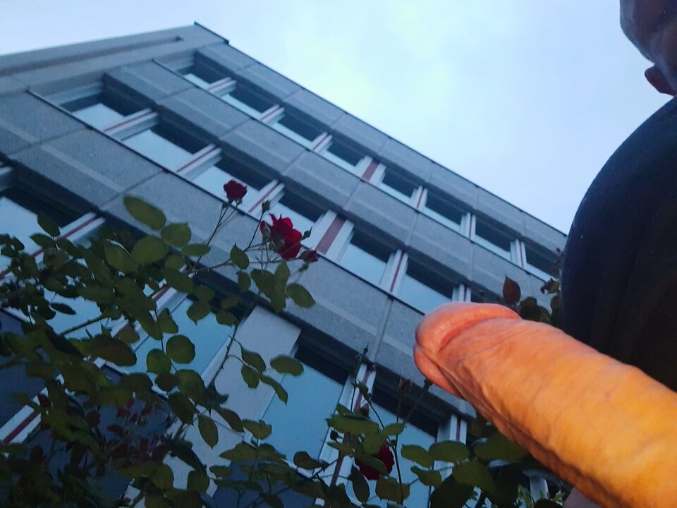 20210822_062400.jpg - rafal1410