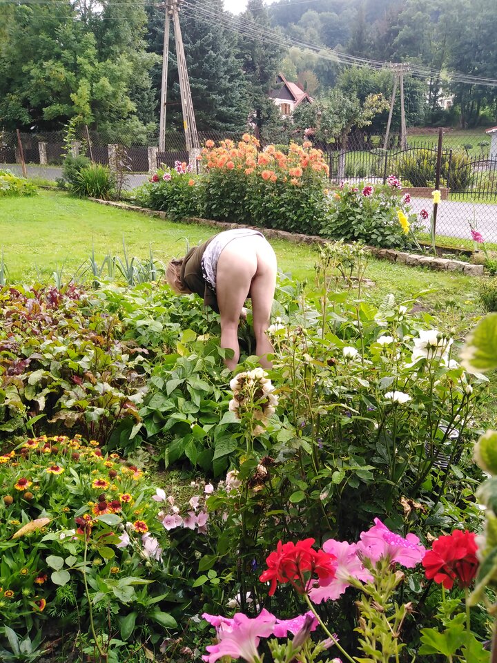 IMG_20210822_153122.jpg - para3741