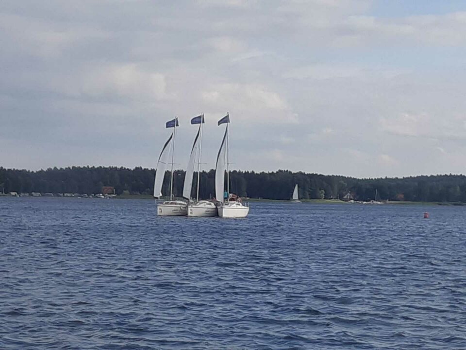 Resized_20210818_170644_8420.jpeg - zielonoannaion10