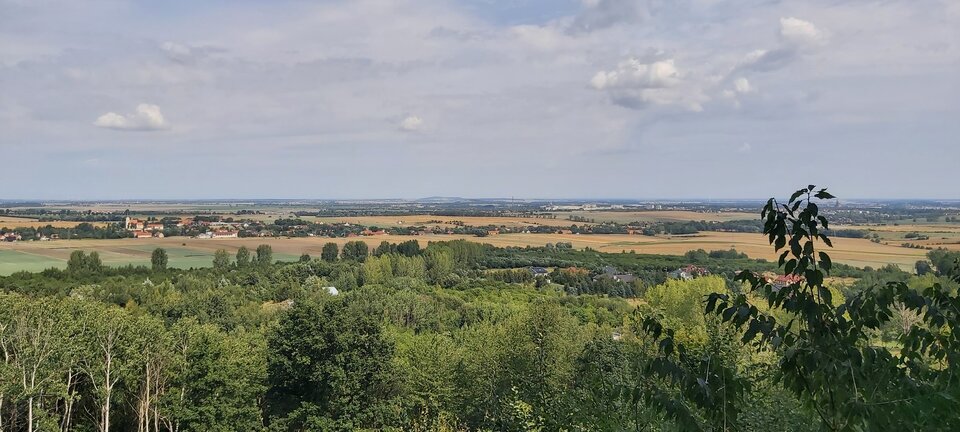 20210822_121726.jpg - bwa7682