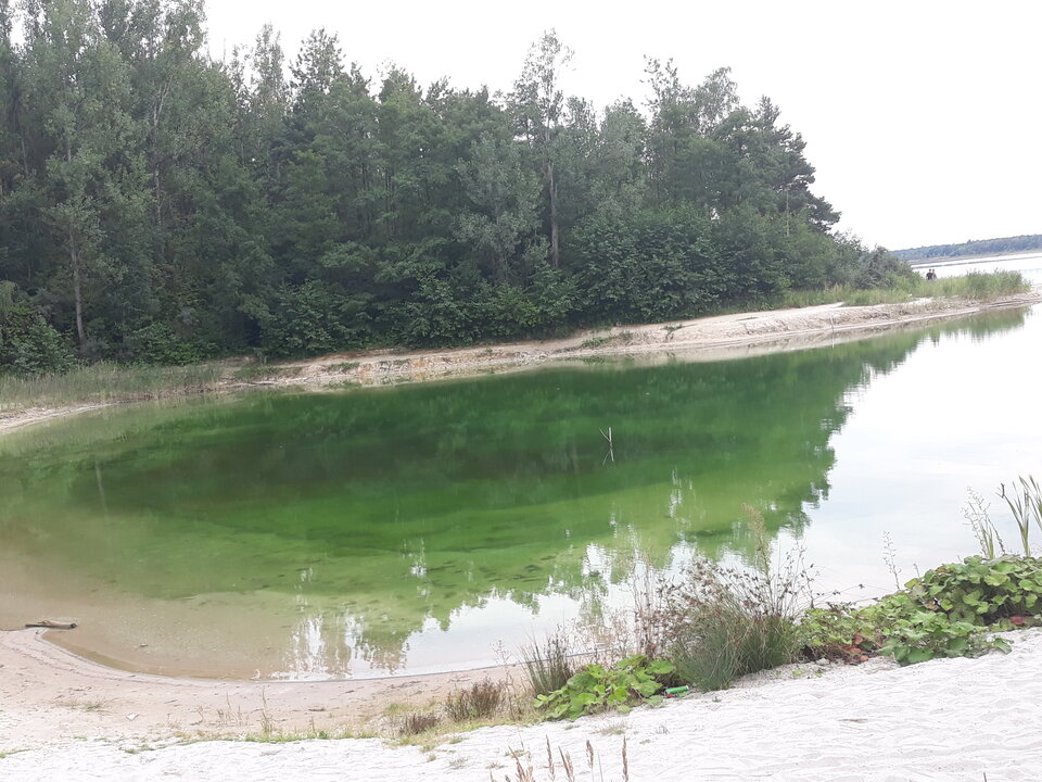 20210822_163312.jpg - kajkah