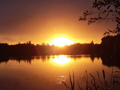 20200730_203524.jpg