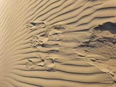 20210822_193216.jpg