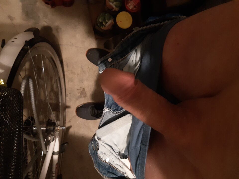 16297505881756056487783962785324.jpg - 250272