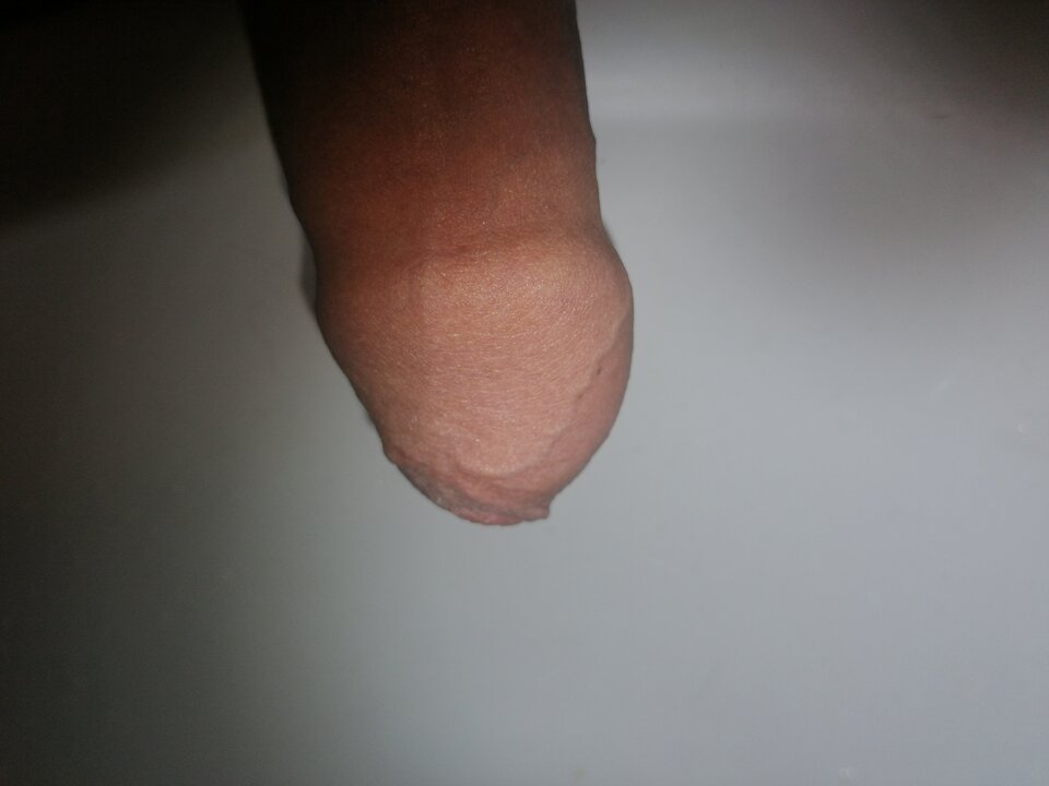 IMG_20210824_054433.jpg - 12jm