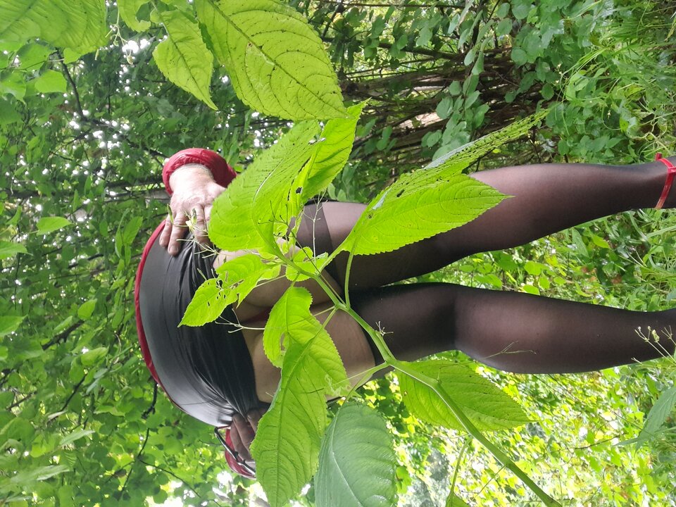 20210824_093446.jpg - Rajstopka1980