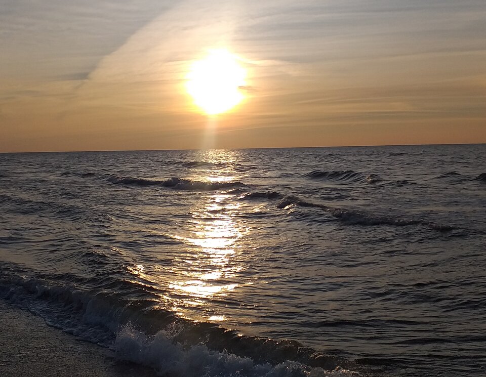 20210824_193145.jpg - XTOMx