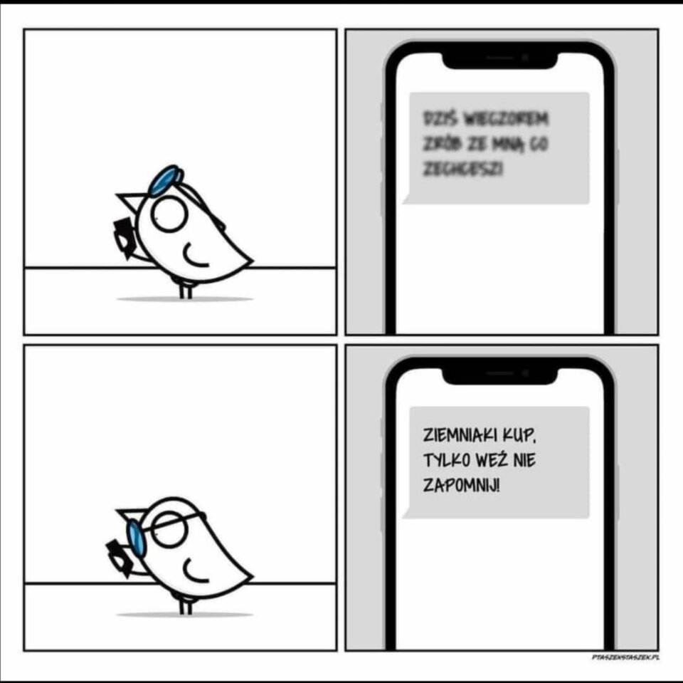 IMG-20210822-WA0011.jpg - wiopio