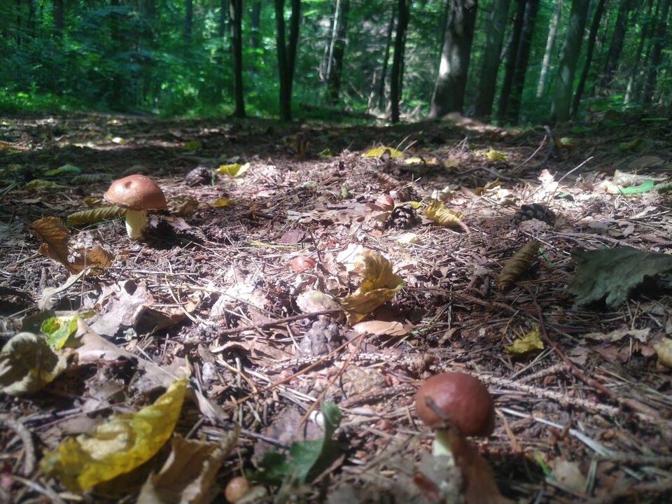 IMG_20210816_134002.jpg - On46mily