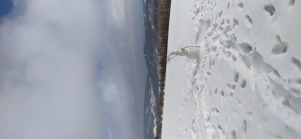 IMG_20210125_120412.jpg - Lewar80