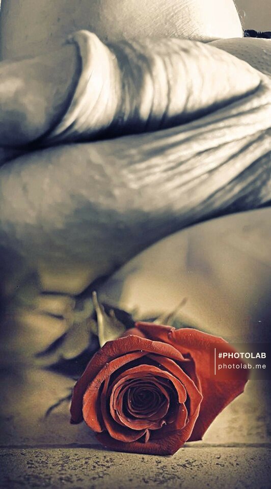 f582d903-467f-4087-b536-da67b4bae822.jpg - dino8