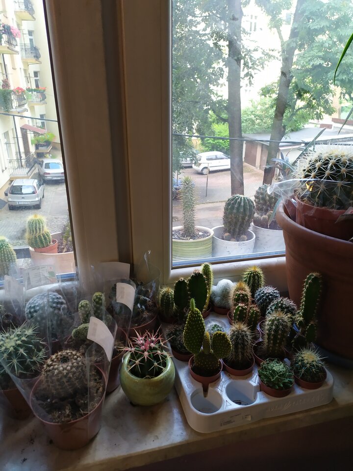 IMG_20210826_171812.jpg - krolvertexfx