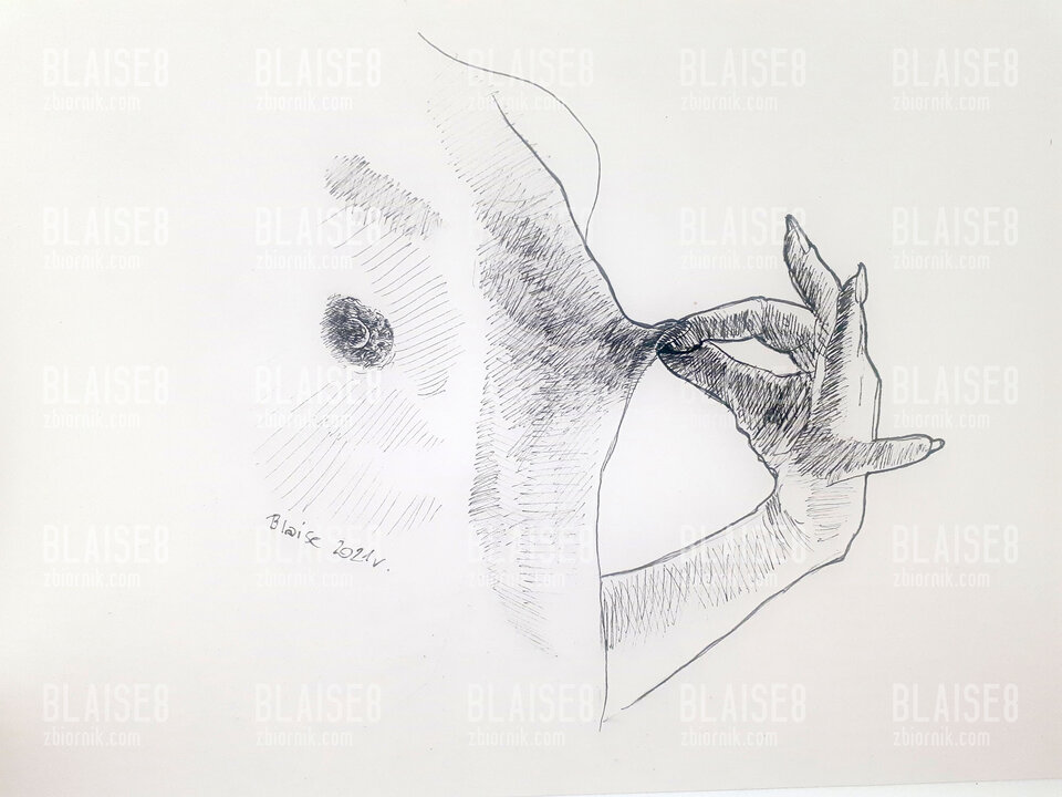 Art No 100 - blaise8