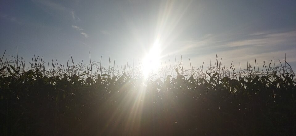 IMG_20210828_070538.jpg - MattVegass