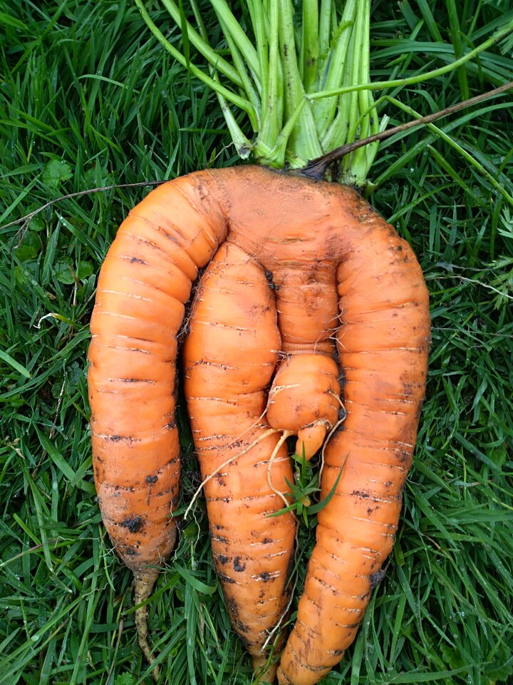 IMG_20210828_103956.jpg - mrko