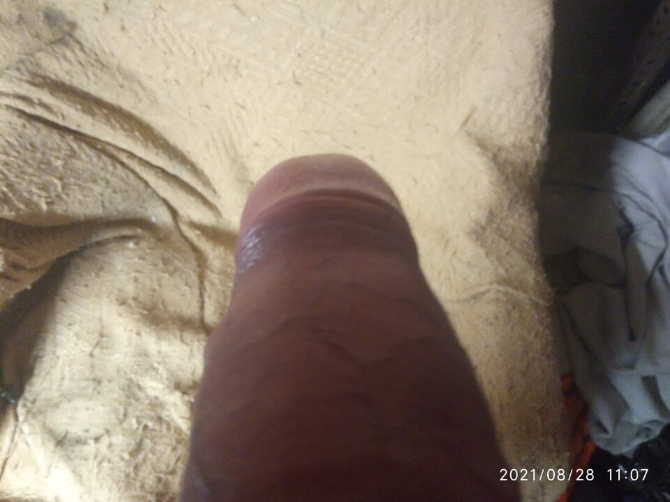 IMG_20210828_110749.jpg - slodkiOgier8989