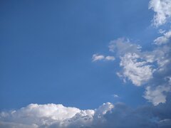 IMG_20210610_173334_1.jpg