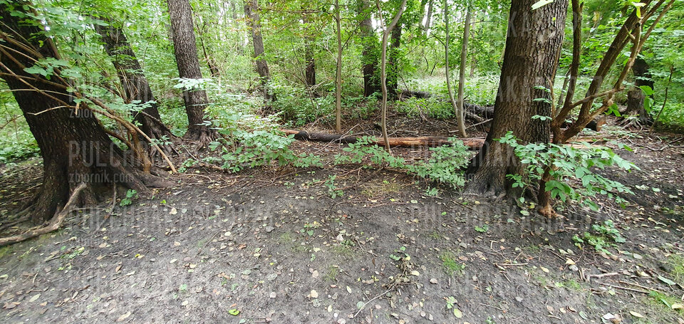 20210828_112736.jpg - PulchnaKasia9876