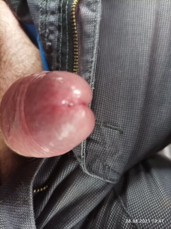 IMG_20210828_134728.jpg - Jasfasolajelenia