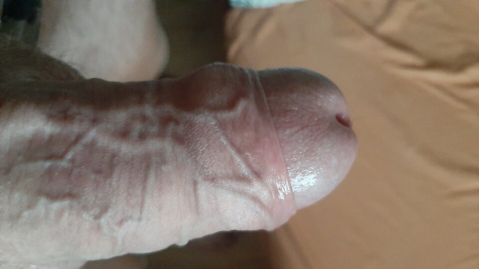 20210829_084658.jpg - 37renegat37