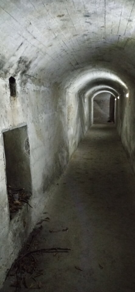 Ponoć im jaśniej tym ciaśniej - Maciek1182