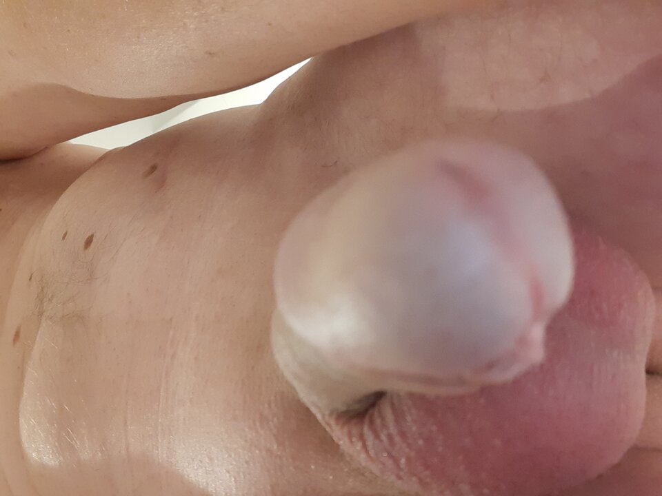 16303476714996546284341029415893.jpg - 250272