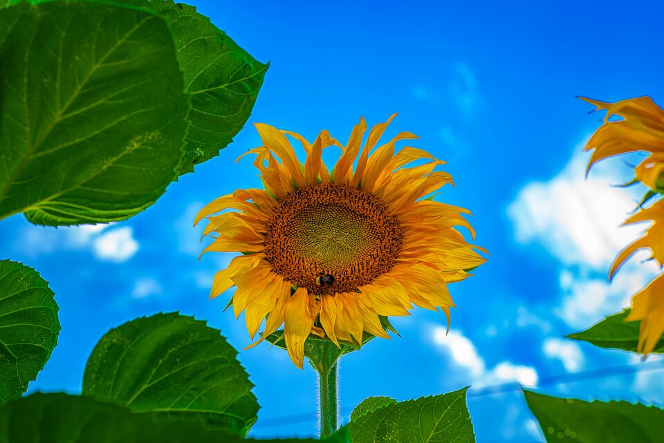 Ciepły obrazek - mystic