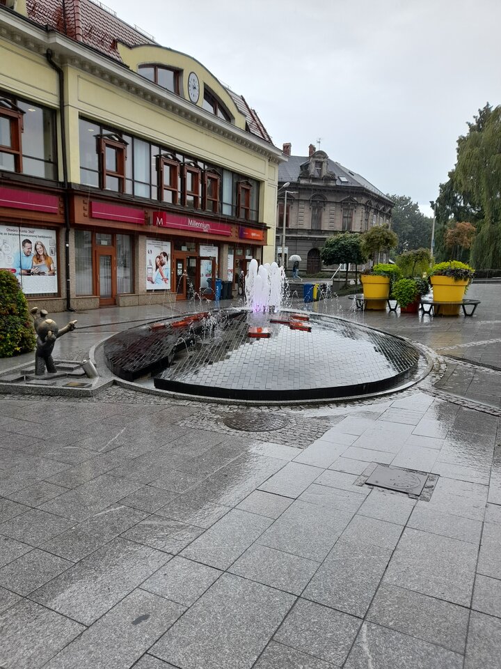 20210831_095413.jpg - Ambrozja2