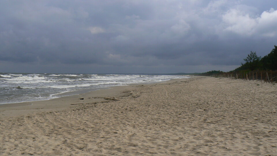 P1140876.JPG - matmartifer